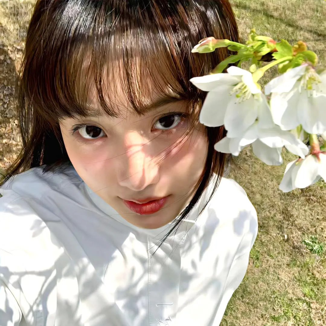 小鹬初登场 在线观看