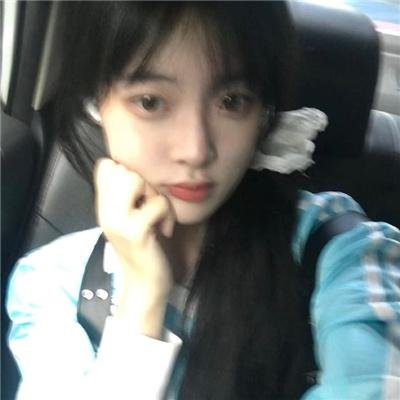 绝望主妇第五季 在线观看
